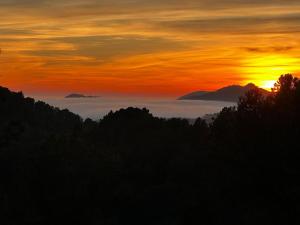 Royal hideaway & retreat Son Font