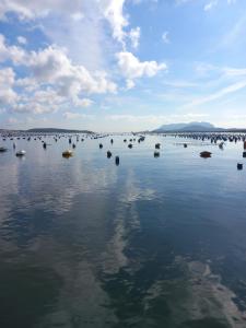 helichrysum hospitality ampio trilocale IUN Q9603