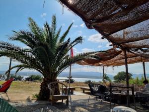 Studio plien pied avec terrasse ensoleillée
