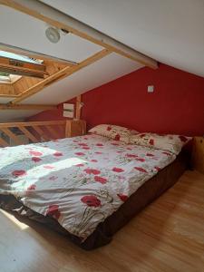 Appartements Studio plien pied avec terrasse ensoleillee : photos des chambres