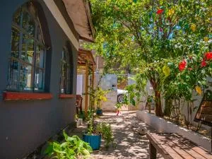 Sam's Nindo Mit 3B - Kericho