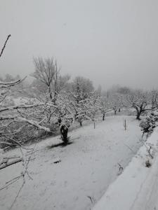 Logement avec terrasse Millau