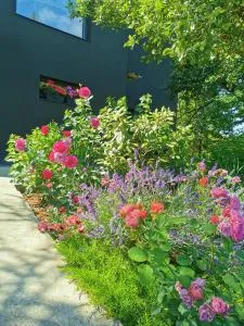 Apartments R9 - Mārupe