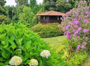 Nature Cabins - Santo da Serra - Junqueira