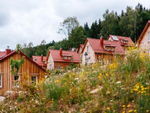 Ferienhaus in Schierke mit Garten