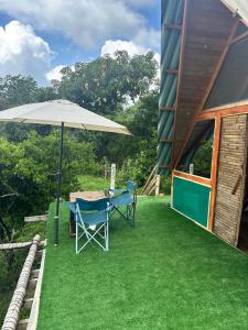 JUNGLAMP-Conexión con la naturaleza