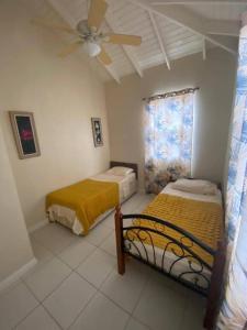 Mango Tree House