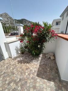 Casa Su Romasinarzu - IUN S3816 img28