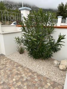 Casa Su Romasinarzu - IUN S3816 img51