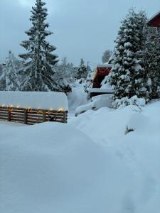 Apartments Bergen free parking