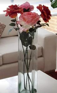 Beautiful apto near airport and American Embassy