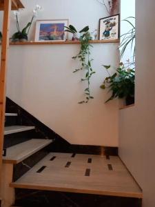 Villas Grande maison familiale 8p, 14 max, pas de fete : photos des chambres