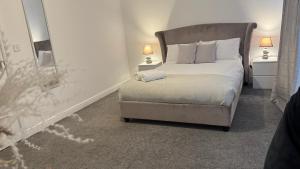 Big Confort, Shared House