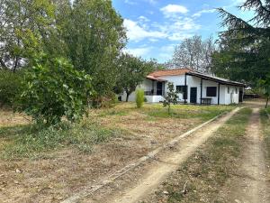 The Hidden Ranch