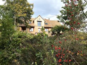 Maisons de vacances Odile en Bleu in Barr : photos des chambres
