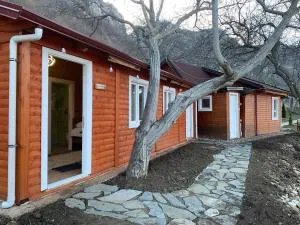 Bujtina Shpella e Plakës Çerçan Librazhd - Librazhd