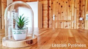 Le Chalet jacuzzi et Détente 4 Étoiles