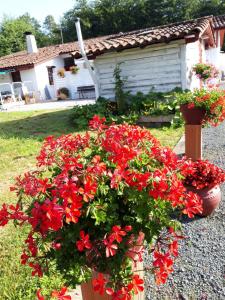 Chalets Esperantza : photos des chambres