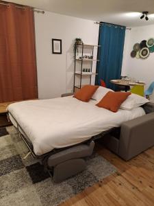 Appartements Le D-lices, Spacieux, Centre-ville, Free parking : photos des chambres