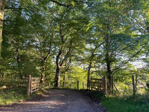 Spacious cottage - walk to Crieff