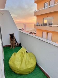 T1 Ideal - Praia da Rocha