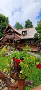 Pensiunea Rustic Oncesti