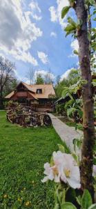 Pensiunea Rustic Oncesti