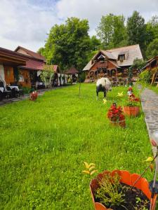 Pensiunea Rustic Oncesti
