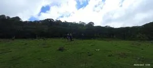 Miraflor - Los Potrerillos