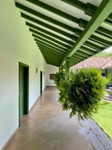 PASEOS GRANDES!!!-14 PAX-Hacienda Manantiales ParaĆso Natural