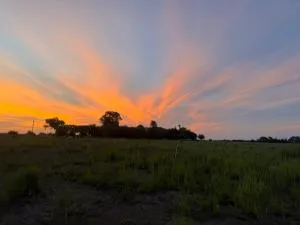 La victoria ranch horse - Azcuénaga