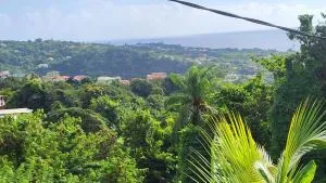 Twyn Apartment - Pont Cassé