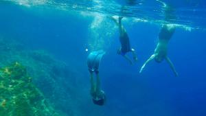 Dalì Art Room Studio Apartment img44