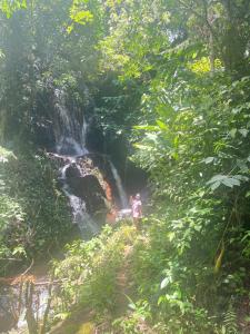 Estrelas da Mantiqueira