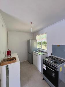 Cabañas Punucabaña