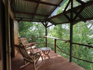 La Mariola - Finca Agroecológica - San Carlos