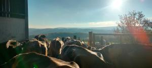 La nuitée à la ferme