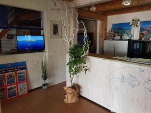Family apartment in Olbia near sea