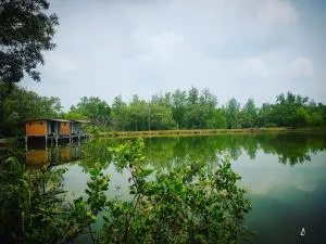 Calm at Bangphat - Phang Nga