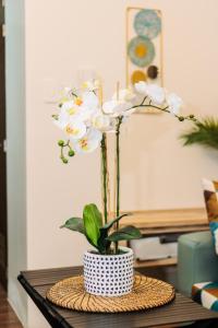 Urban Charm Cozy Meet 52 Air Swim Gym Park 300Mb