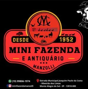 Mini Fazenda e Antiquário Manzolli - Tuyuti