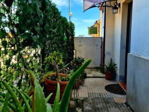 Casa Cicitta Apartment