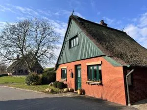 Reetdachkate am Deich - Kollmar