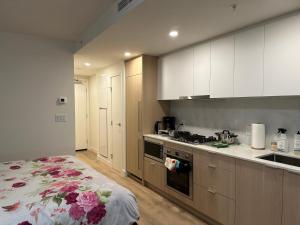 New condo near Lougheed Mall & SFU