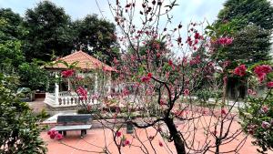 Jadore Garden House Vinh Yen
