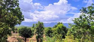 Entire Private Farm on Rent 2 Acre with 3 Room, its Kittus Farm