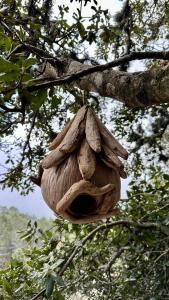 Tentes de luxe Cocoon Village : photos des chambres