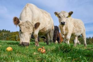Ferienwohnung Heuboden