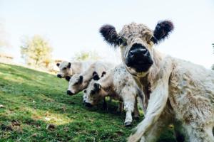 Ferienwohnung Heuboden