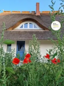 Reetsnacker - Ferienhaus mit Kamin, Sauna und Whirpool für 8 Personen - Pepelow